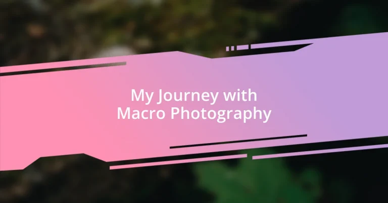 My Journey with Macro Photography