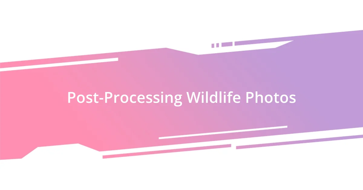 Post-Processing Wildlife Photos